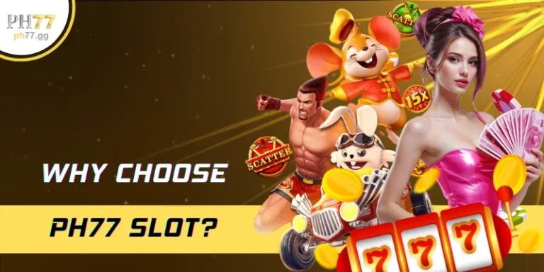 Hướng dẫn cho người mới